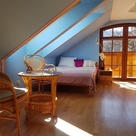 Apartament Intol Z Widokiem Na Sniezke Карпач Екстер'єр фото