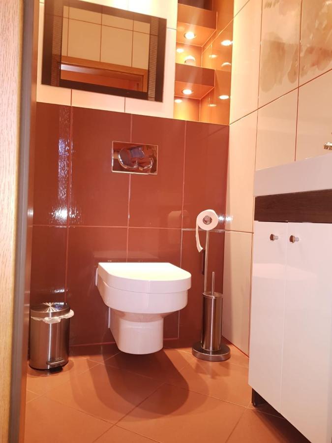 Apartament Intol Z Widokiem Na Sniezke Карпач Екстер'єр фото